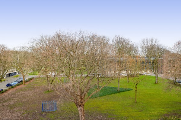 Medium property photo - Bosseplaat 125, 3181 ZC Rozenburg